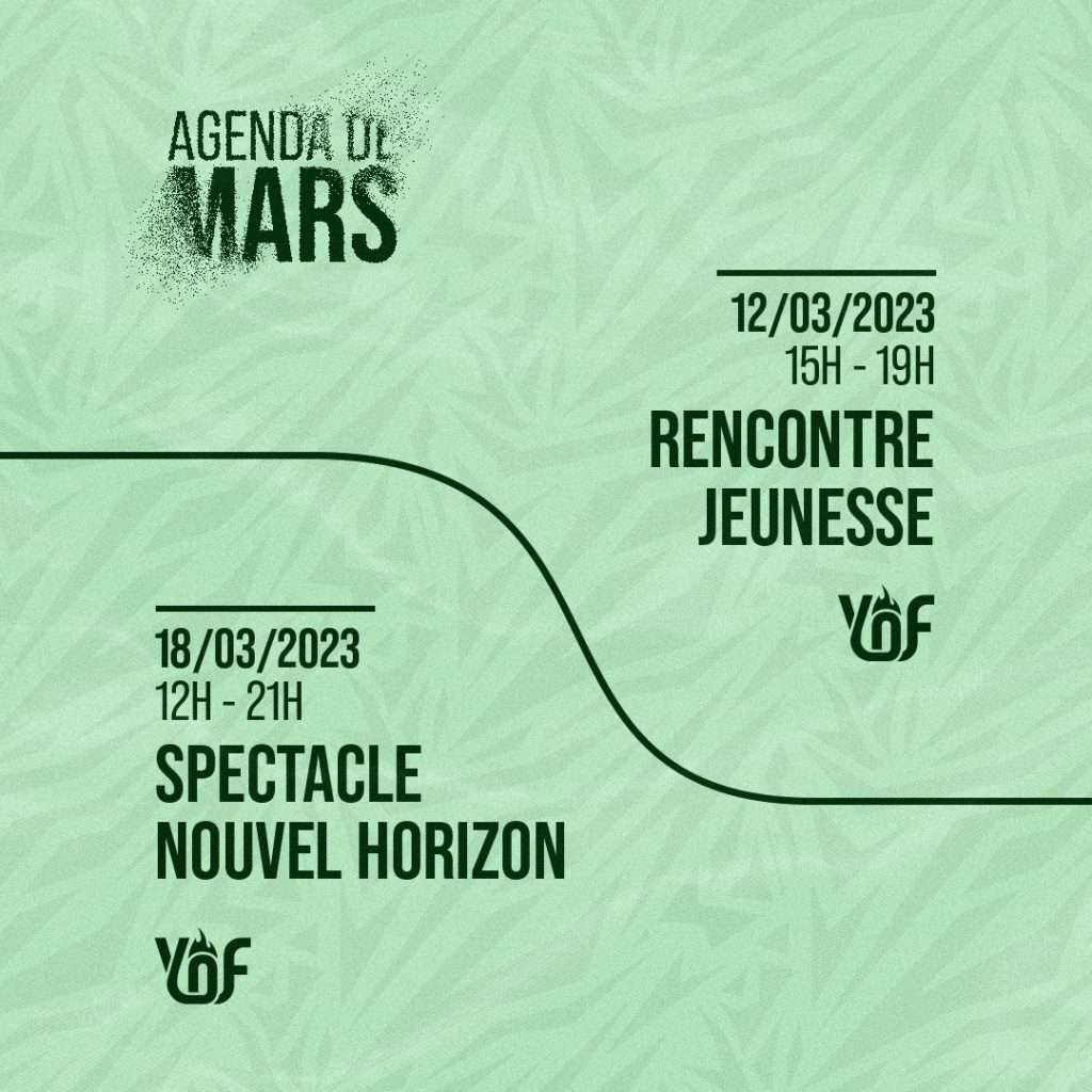MARS 4